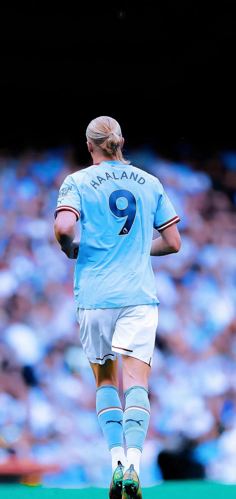 女子篮球联盟MVP候选人公布（女篮联盟MVP候选名单出炉）